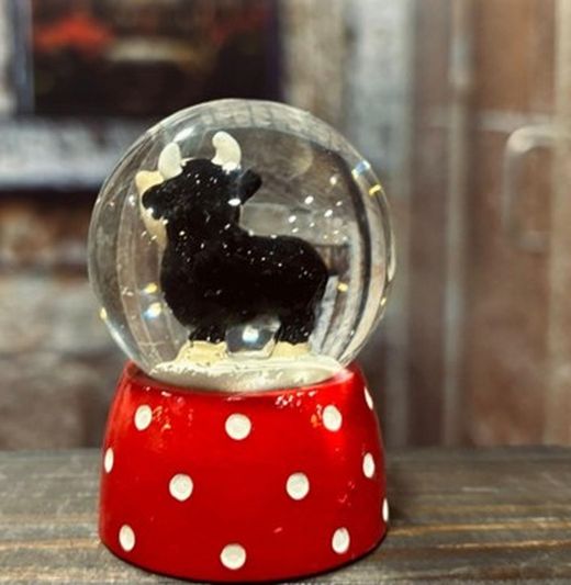 Bola grande toro