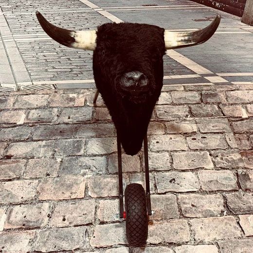 Carretón Toro