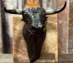 Figura Cabeza de Toro