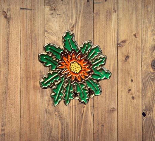 Pin Eguzkilore verde